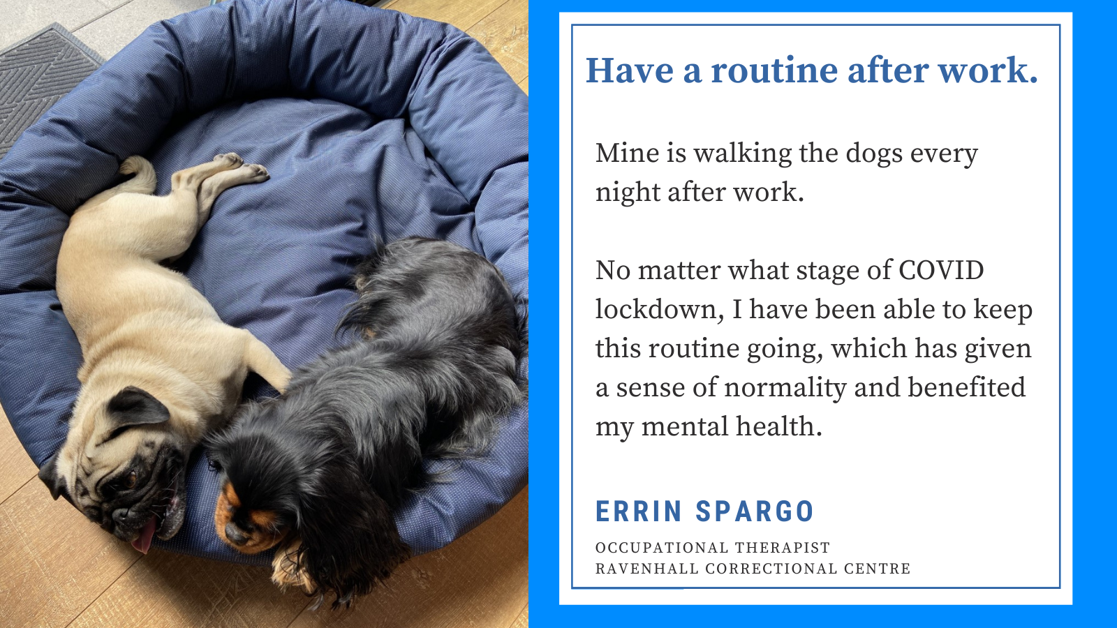 Routines are incredibly important for coping with our mental health.